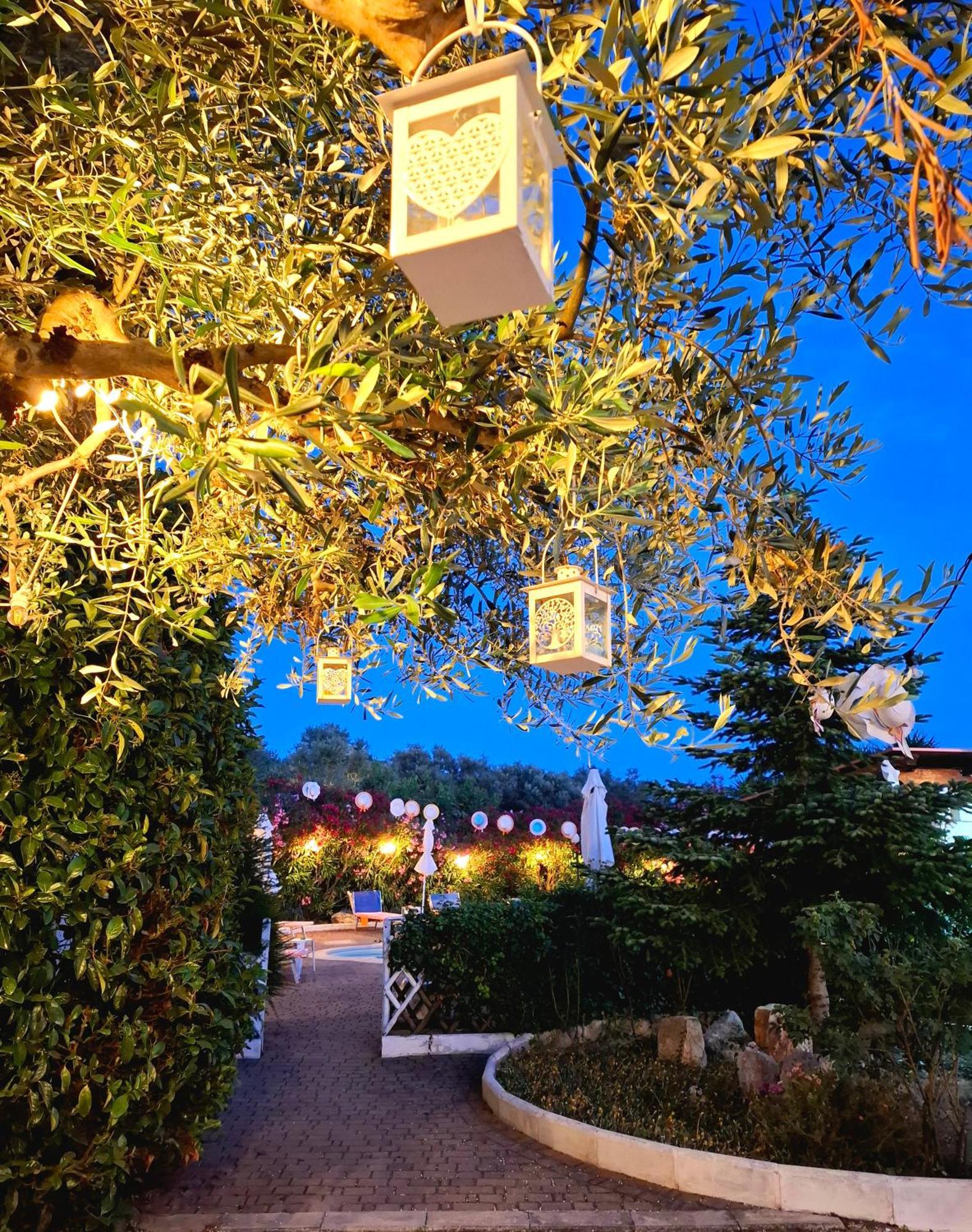 Mirella Charming Bed & Breakfast อัลเบโรเบลโล ภายนอก รูปภาพ