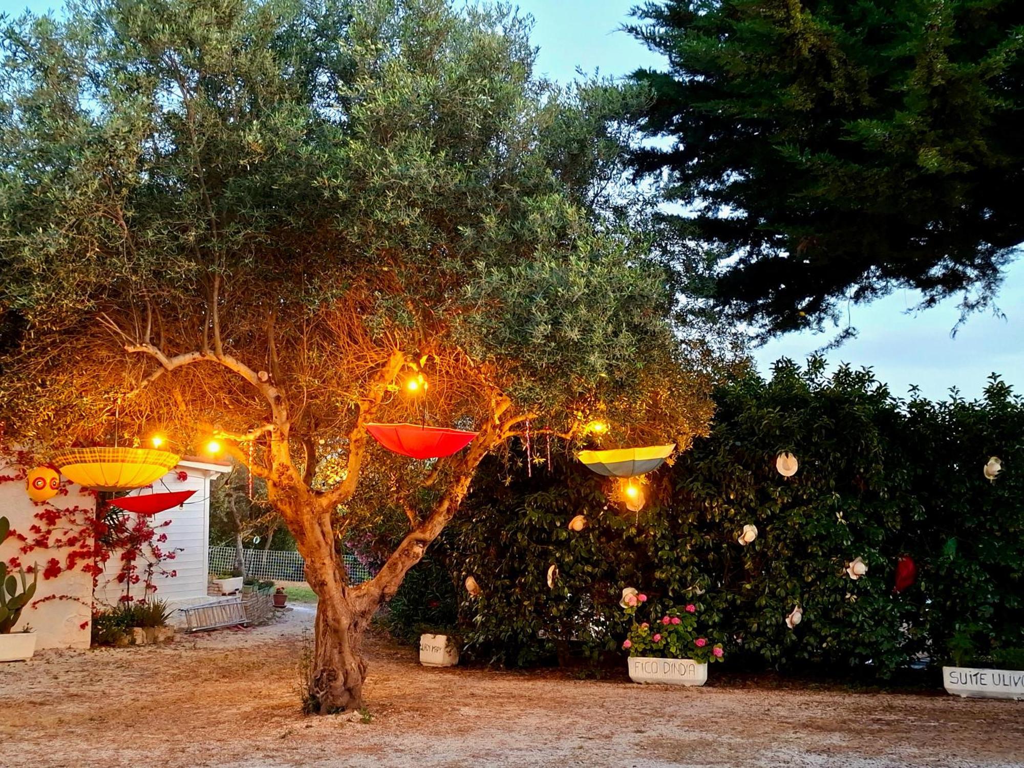Mirella Charming Bed & Breakfast อัลเบโรเบลโล ภายนอก รูปภาพ