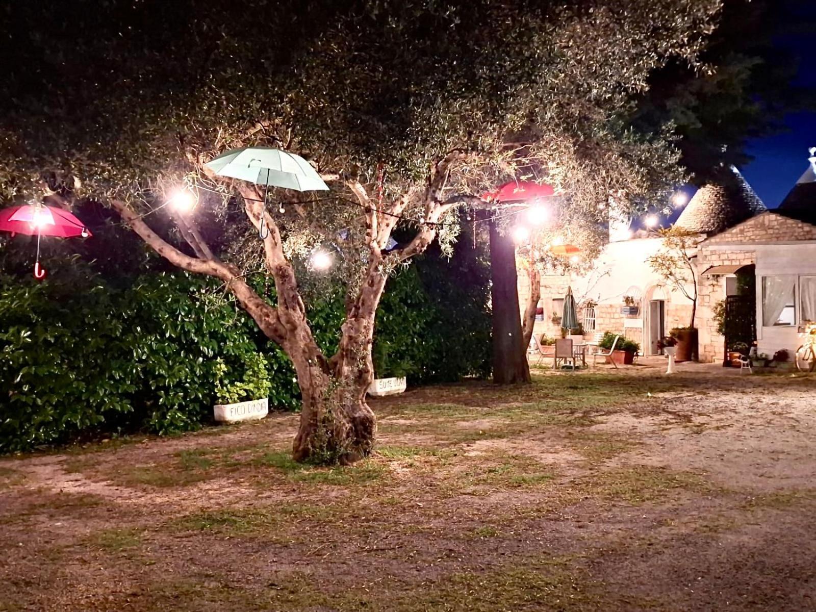 Mirella Charming Bed & Breakfast อัลเบโรเบลโล ภายนอก รูปภาพ